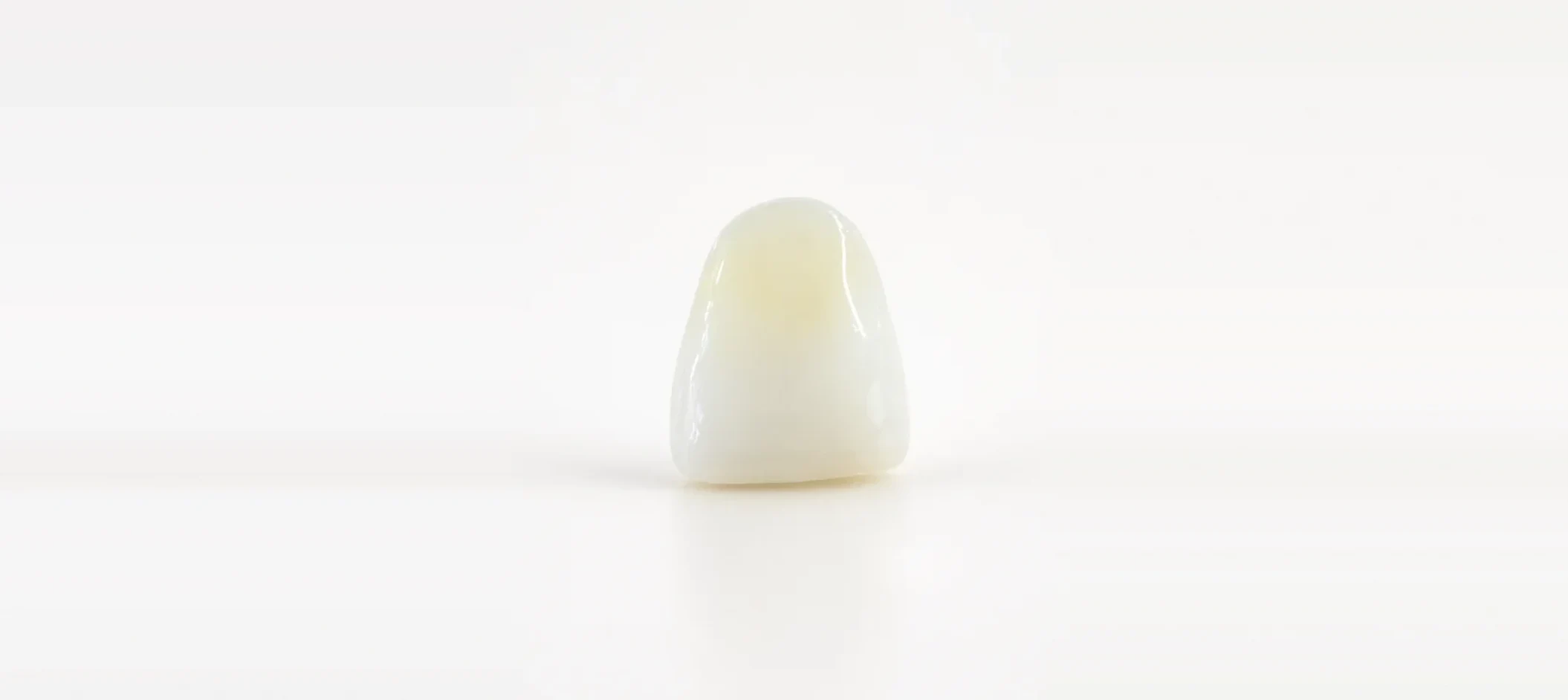 Anterior crown on a seamless studio background